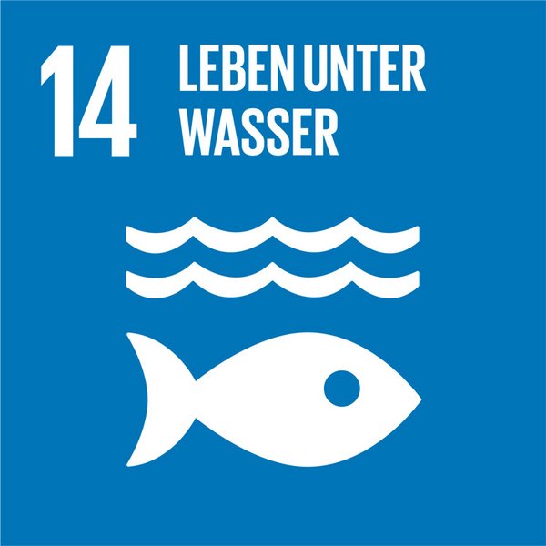 Globales Nachhaltigkeitsziel Icon