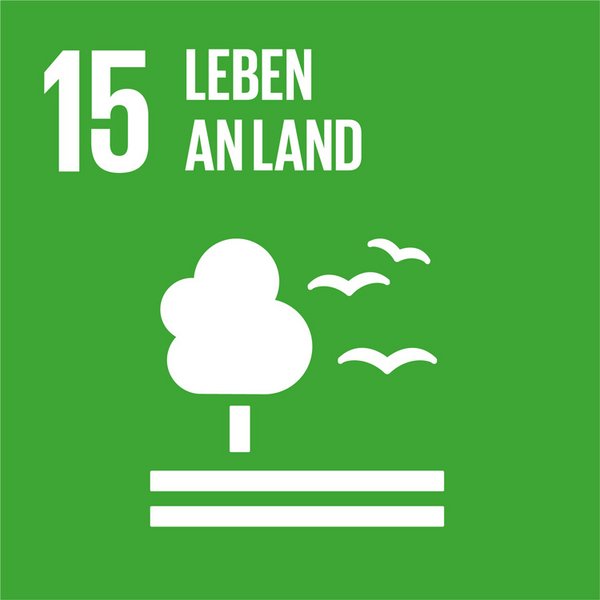 Globales Nachhaltigkeitsziel Icon