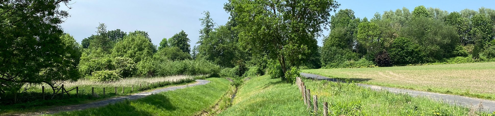 Blick auf den Holzbach