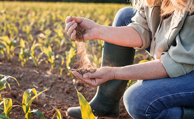 Landwirtin hält trockenen Boden in der Hand