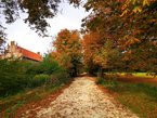 Weg im Schlosswald