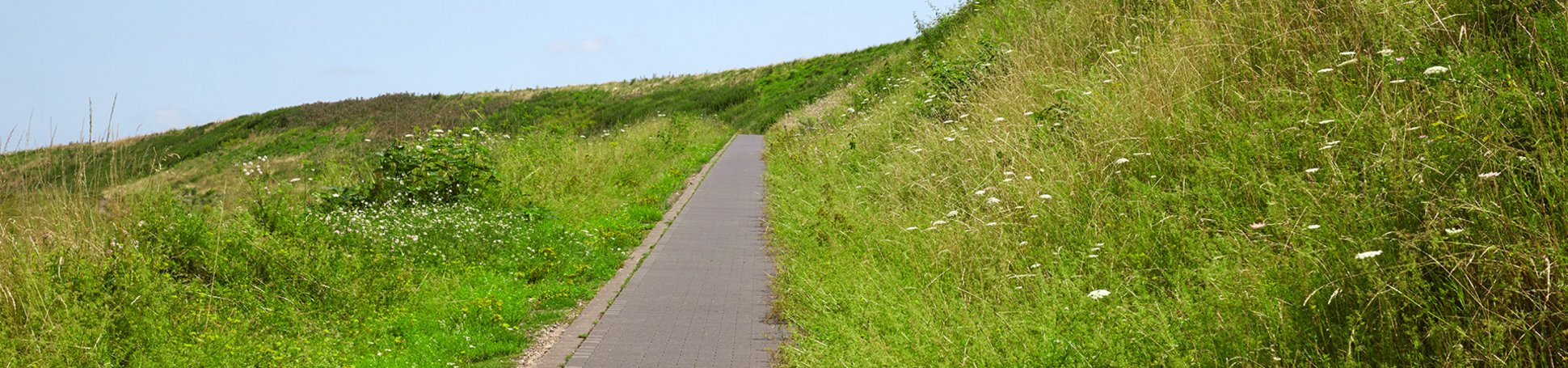 Weg führt auf Halde Hoheward