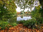 See im Schlosswald
