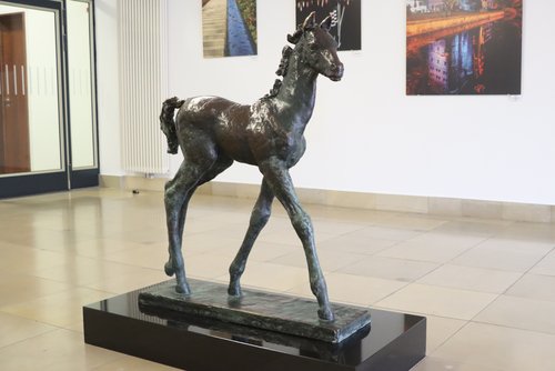 „Großes Vollblutfohlen“