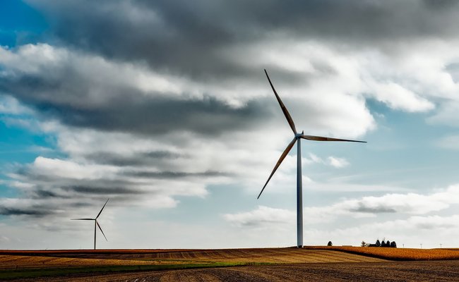 Windräder auf einem Feld