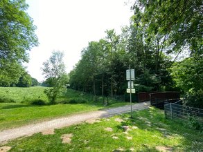 Weg zum Hasseler Mühlenbach
