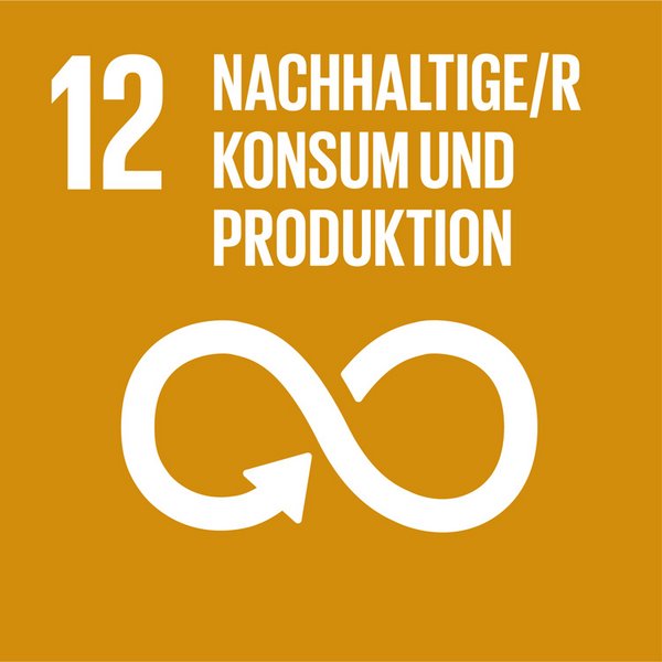 Globales Nachhaltigkeitsziel Icon