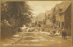 1872 Birkenstraße Herten