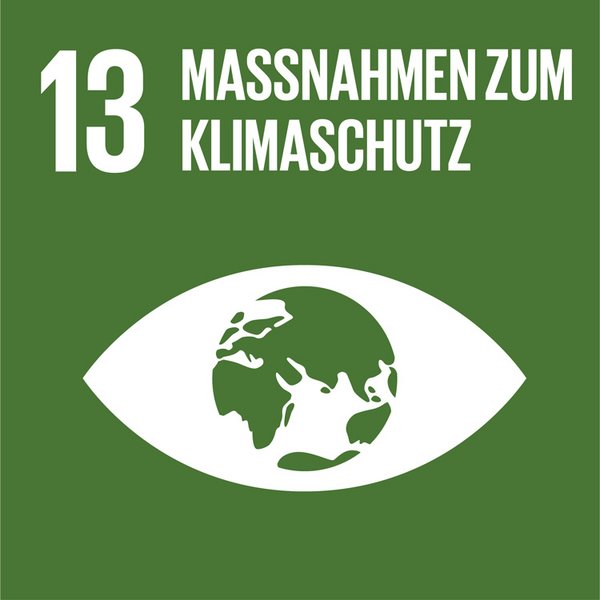 Globales Nachhaltigkeitsziel Icon