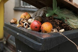 Abfall in der Biotonne