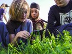Kinder erkunden die Pflanzenwelt