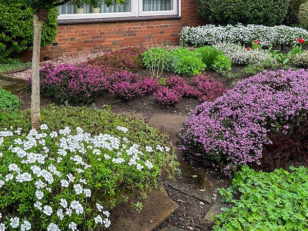 Blumenbeet im Vorgarten