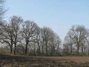Schutzgebiet Sprockwiese am Schloßpark