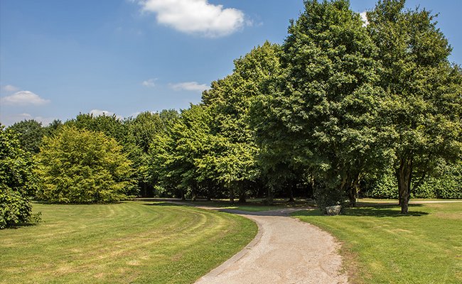 Grünanlage Backumer Tal