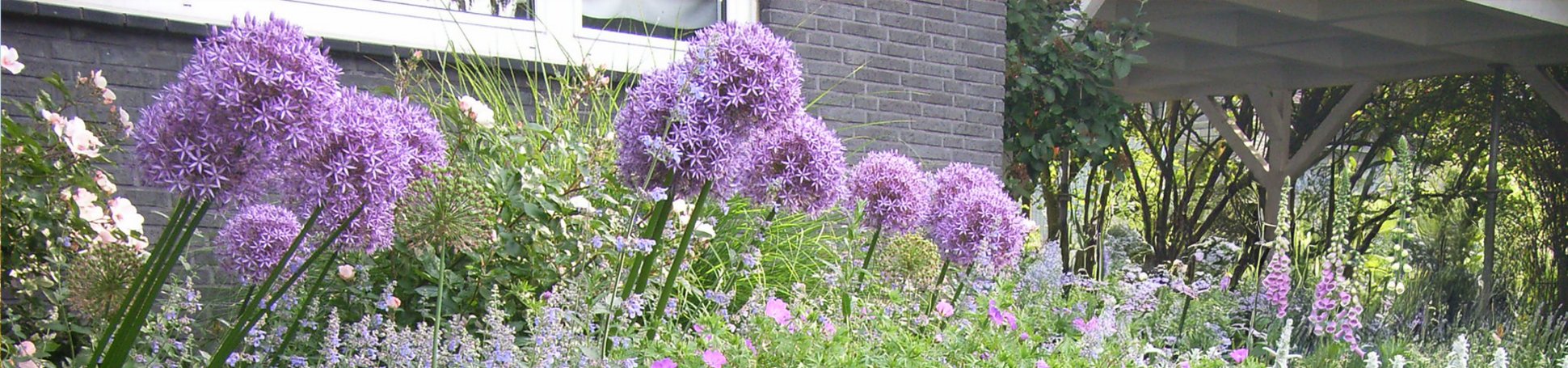 Blumenbeet im Vorgarten