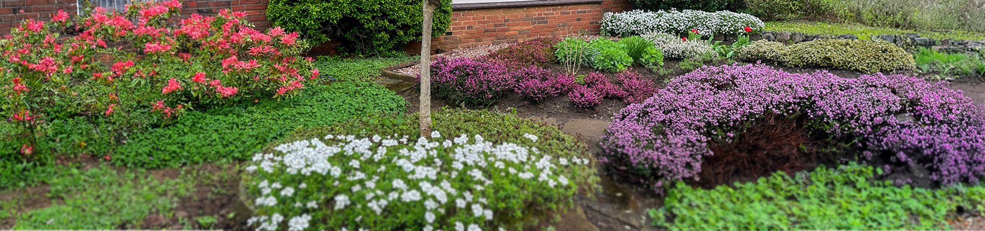 Blumenbeet im Vorgarten