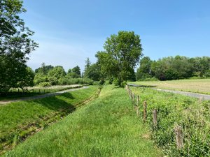 Blick auf den Holzbach