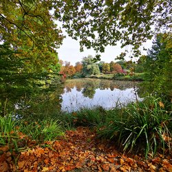 
                                Schlosspark mit Seeblick
                            