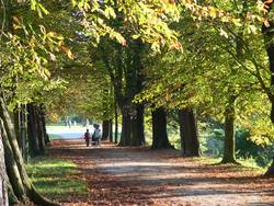 Allee im Schlosspark Herten