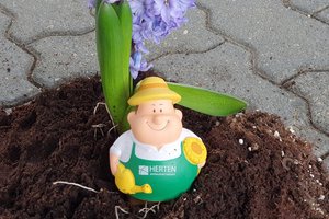 Kompost mit Figur
