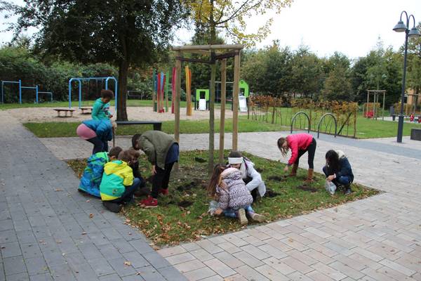 Über 1.000 Blumenzwiebeln haben die Schülerinnen und Schüler aus der 3c der Barbaraschule am Dorfanger in Bertlich gepflanzt.