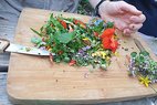 BUND NaturErlebnisGarten Kräutermischung auf einem Holzbrett