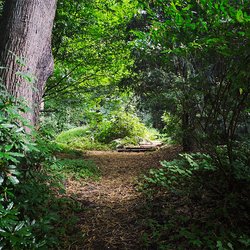 
                                Weg im Schlosspark
                            