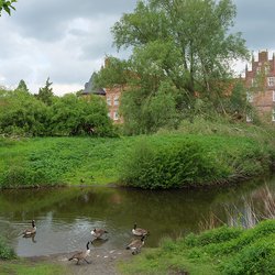 
                                Schlosspark
                            
