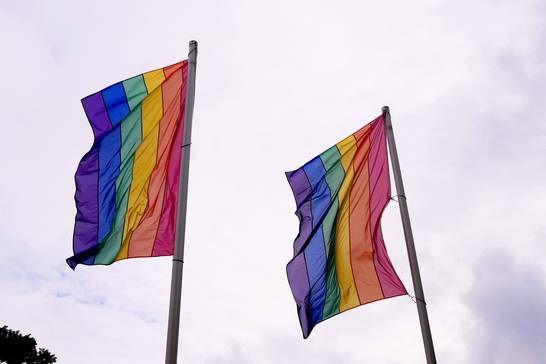 Die Regenbogenflagge ist ein internationales Symbol für Vielfalt, Akzeptanz, Hoffnung und Frieden. Für die LSBTI*-Gemeinde wurde die Fahne in den siebziger Jahren ein wichtiges Symbol. Der amerikanische Künstler Gilbert Baker entwarf sie für die „Gay Freedom Day“ Parade im Jahr 1978. Diese „Pride“-Flagge unterscheidet sich heute von anderen Regenbogenflaggen dadurch, dass sie nur aus den Farben Rot, Orange, Gelb, Grün, Blau und Violett (von oben nach unten) besteht. Die Regenbogenflagge ist ein internationales Symbol für Vielfalt, Akzeptanz, Hoffnung und Frieden. Für die LSBTI*-Gemeinde wurde die Fahne in den siebziger Jahren ein wichtiges Symbol. Der amerikanische Künstler Gilbert Baker entwarf sie für die „Gay Freedom Day“ Parade im Jahr 1978. Diese „Pride“-Flagge unterscheidet sich heute von anderen Regenbogenflaggen dadurch, dass sie nur aus den Farben Rot, Orange, Gelb, Grün, Blau und Violett (von oben nach unten) besteht.