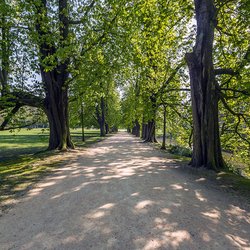 
                                Allee im Schlosspark
                            