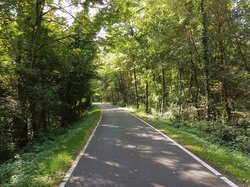 
                            Allee des Wandels
                        