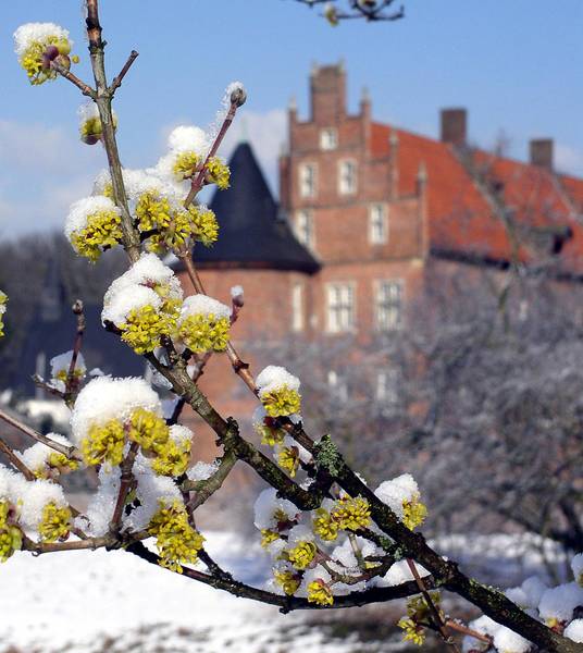 Winterzauber am Schloss (03.04)