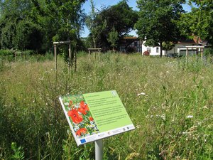 Wiesenfläche Ehrenmal Westerholt