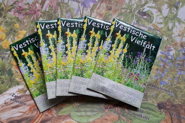Die Saatgutmischung „Vestische Vielfalt“ wurde von der Unteren Naturschutzbehörde im Kreis Recklinghausen speziell für die heimische Flora entwickelt. (Foto: Stadt Herten)