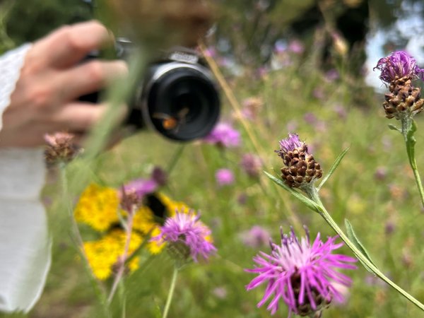 Fotowettbewerb „Klimaanpassung in Herten“