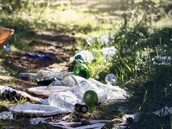 Illegaler Müll im Wald