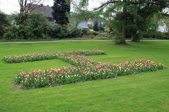Bunte Tulpen in Form eines 'H' schmücken den Paschenberg. 