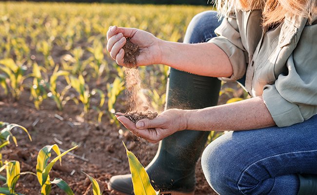 Landwirtin hält trockenen Boden in der Hand