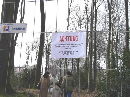 Buchenbusch abgesperrt (03.04)