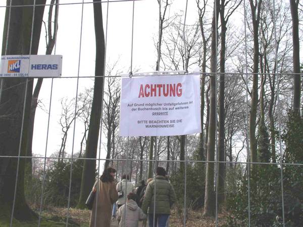 Buchenbusch abgesperrt (03.04)