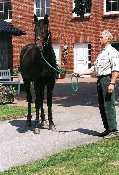 "Herten" mit Züchter Klemens Meßmann (07/2000)