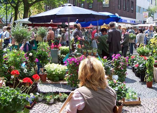 Die Aussteller bieten neben einer Auswahl an Balkon-, Beet- und Saisonpflanzen auch Gemüsepflanzen, Kakteen, Kräuter (auch Bio), Stauden, Sukkulenten, fleischfressende Pflanzen, Palmen, Floristik, Gartendekoration und vieles mehr an. Die Aussteller bieten neben einer Auswahl an Balkon-, Beet- und Saisonpflanzen auch Gemüsepflanzen, Kakteen, Kräuter (auch Bio), Stauden, Sukkulenten, fleischfressende Pflanzen, Palmen, Floristik, Gartendekoration und vieles mehr an.