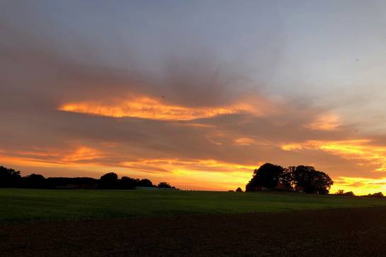 Der Abendhimmel in der Hohen Mark (Bild: Thomas Giesen)