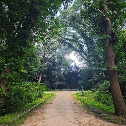 
                                Weg im Schlosspark mit Sicht auf Parkbänke
                            