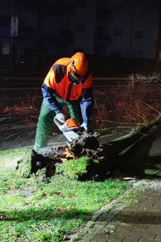 Der Sturm „Sabine“ hat Herten deutlich weniger schlimm getroffen, als befürchtet. Trotzdem hat das Tief einige Schäden verursacht. Die Feuerwehr rückte zu 19 Einsätzen aus, die überwiegend umherfliegende, ungesicherte Gegenstände oder Beschädig