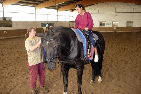 Berufsorientierung Pferdepfleger 2 (10.06)
