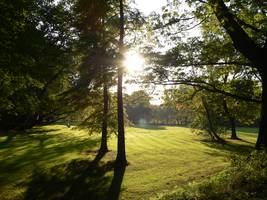 Grüne Wiese im Hertener Schlosspark