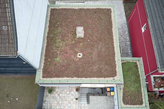 Mit der Dachbegrünung der Immobilien In der Feige 4 und Antoniusplatz 2 wurden die ersten Begrünungsmaßnahmen an Flachdächern in der Innenstadt erfolgreich umgesetzt. Über 453 Quadratmeter Dachfläche würde begrünt. Mit der Dachbegrünung der Immobilien In der Feige 4 und Antoniusplatz 2 wurden die ersten Begrünungsmaßnahmen an Flachdächern in der Innenstadt erfolgreich umgesetzt. Über 453 Quadratmeter Dachfläche würde begrünt.
