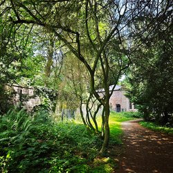 
                                Bäume mit Orangerie im Schlosspark
                            
