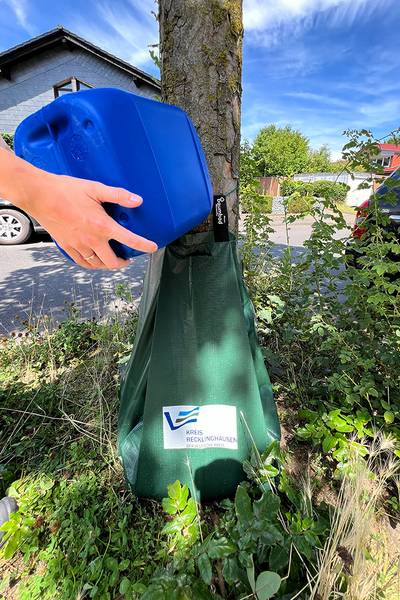 Die Stadt Herten verteilt in Kooperation mit dem Kreis Recklinghausen kostenlos Bewässerungsbeutel zur Bewässerung von Stadtbäumen. (Foto: Kreis Recklinghausen_Svenja Küchmeister)